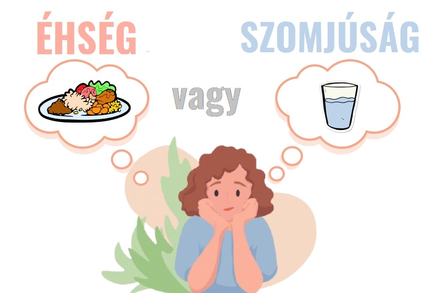 Éhség vagy szomjúság? Te is összekevered őket?