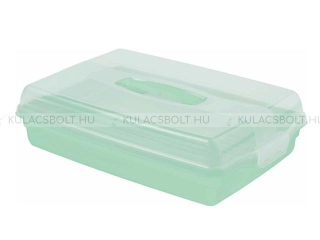 CURVER BASIC parti kínálótálca és tortrabúra, 30 x 45 cm, műanyag, átlátszó, zöld szín